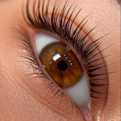 WhatsApp Image 2026-03-20 at 11.15.12